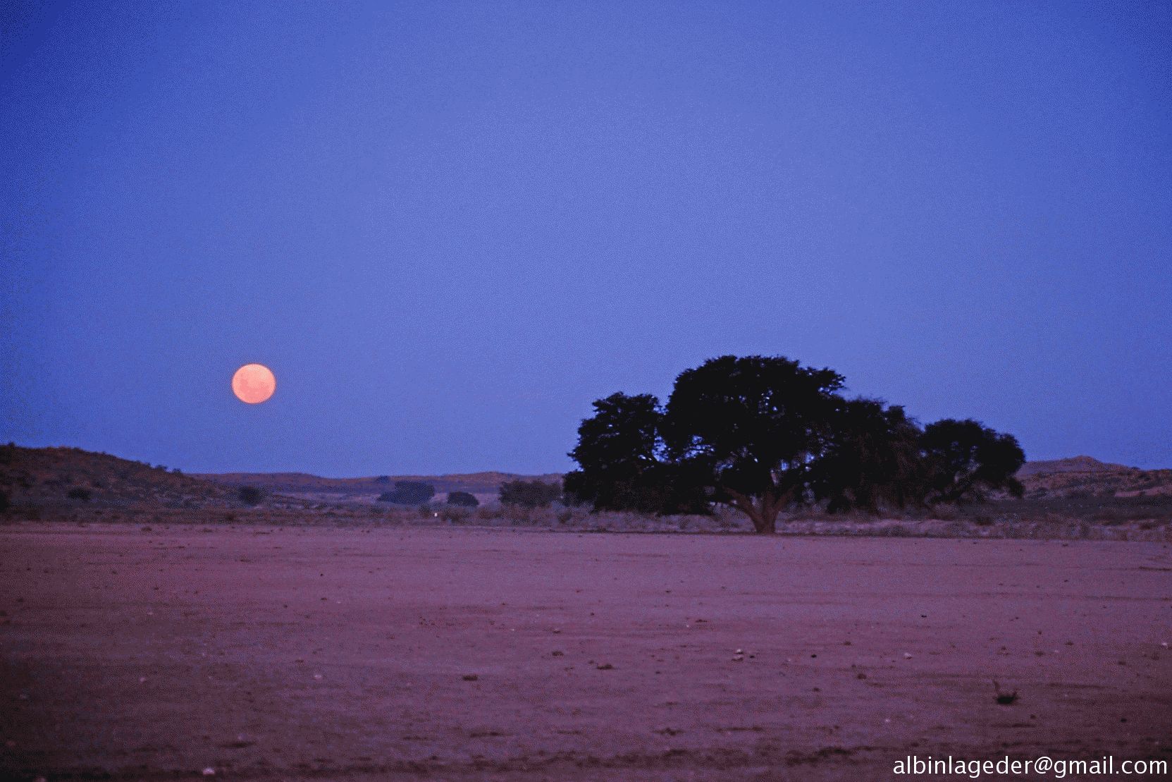 South Afrika - Kalahari